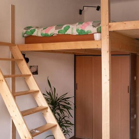 오파티아 Lovely Loft Studio W Patio & Garden 아파트 외부 사진